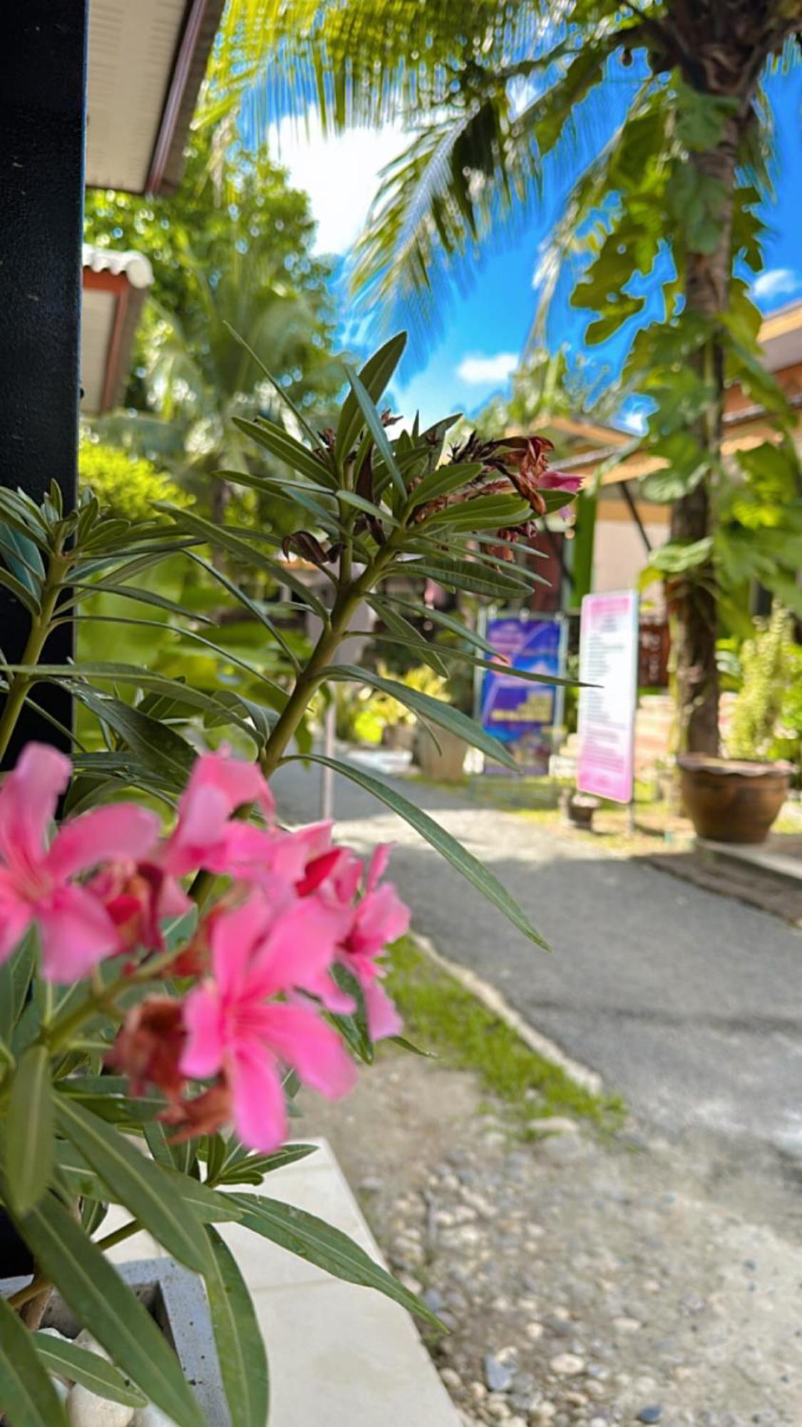 Pinky Bungalow Resort & Villa - Sha Extra Plus Ko Lanta Buitenkant foto